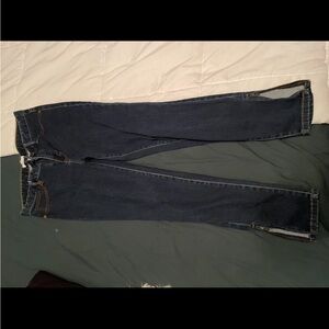 Jaclyn Smith Blue Skinny Jeans